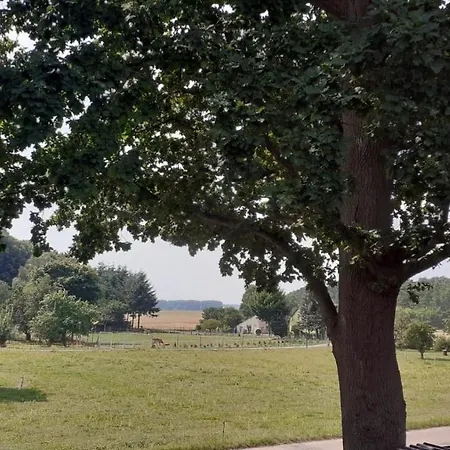 Auf Dem Land Mecklenburgische Seenplatte Mueritz, Laendliche Region Below