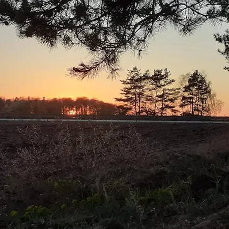 Auf Dem Land Mecklenburgische Seenplatte Mueritz, Laendliche Region